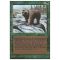 Grizzly Bears Thumb Nail