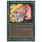 Llanowar Elves Thumb Nail