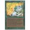 Verduran Enchantress Thumb Nail