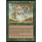 Yavimaya Elder Thumb Nail