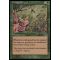 Fertile Ground Thumb Nail