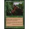 Elven Cache Thumb Nail