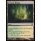 Graypelt Refuge Thumb Nail