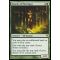 Oracle of Mul Daya Thumb Nail